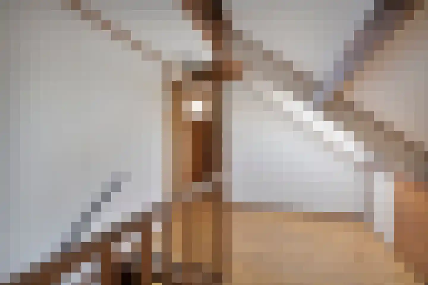 Jacob van Ruysdaelstraat 12 Boxmeer thumbnail 31