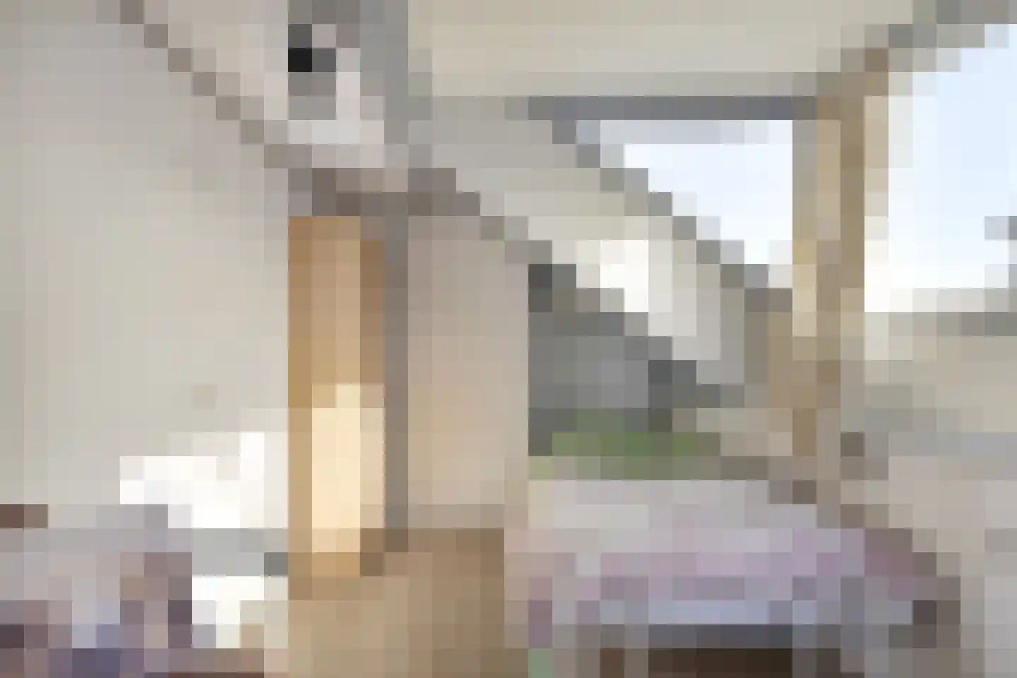 Jacob van Ruysdaelstraat 12 Boxmeer thumbnail 32