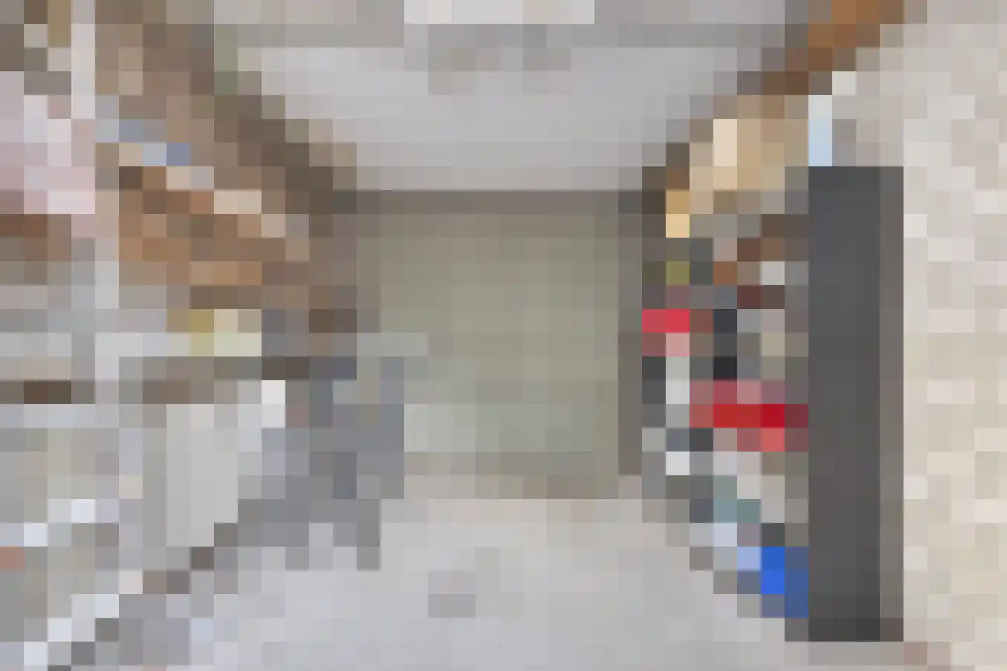 Jacob van Ruysdaelstraat 12 Boxmeer thumbnail 37