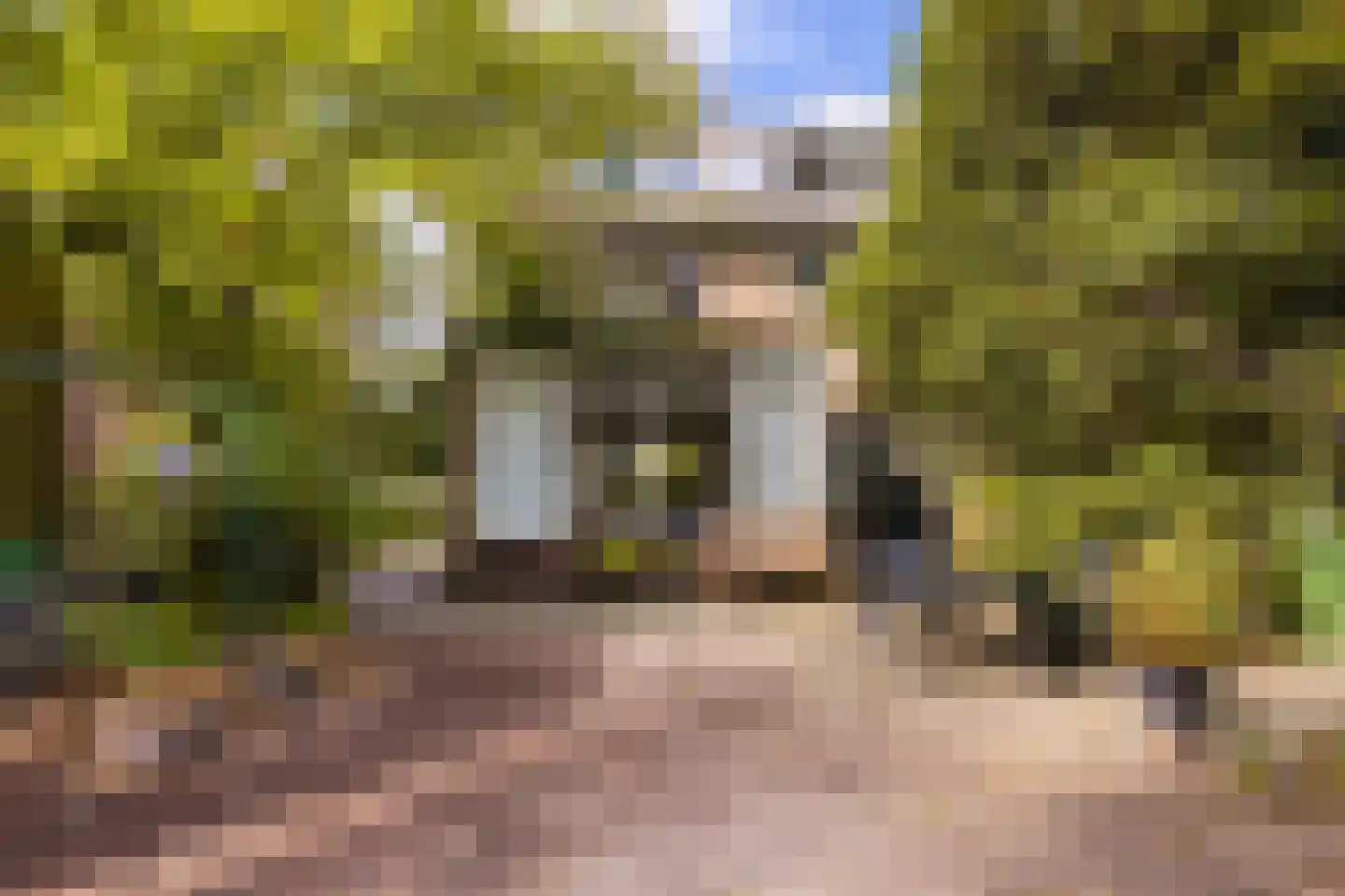 Jacob van Ruysdaelstraat 12 Boxmeer thumbnail 38