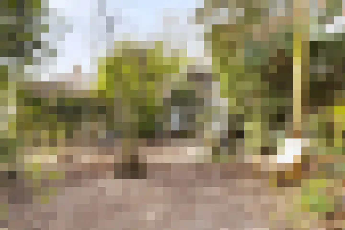Jacob van Ruysdaelstraat 12 Boxmeer thumbnail 39