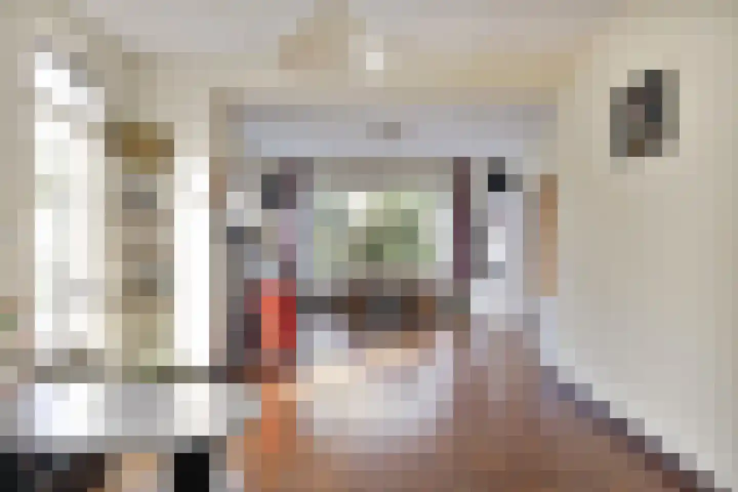 Jacob van Ruysdaelstraat 12 Boxmeer thumbnail 4