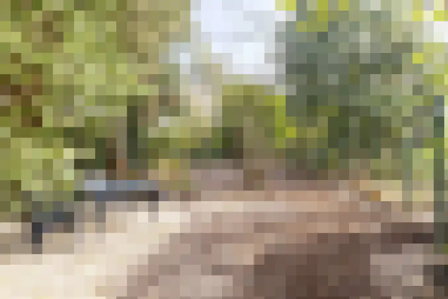 Jacob van Ruysdaelstraat 12 Boxmeer thumbnail 41