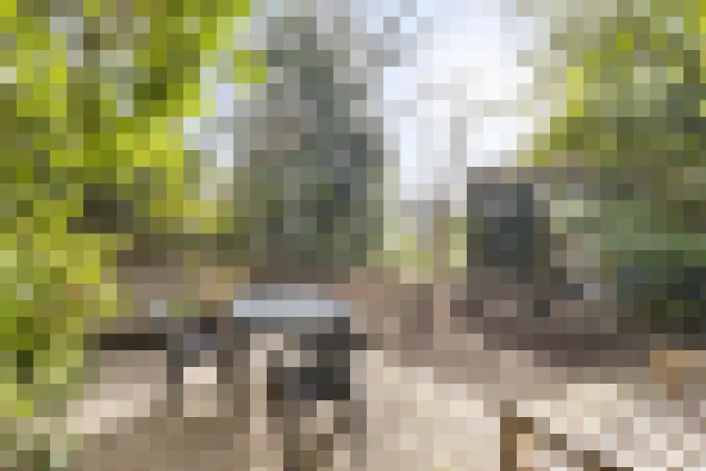 Jacob van Ruysdaelstraat 12 Boxmeer thumbnail 42