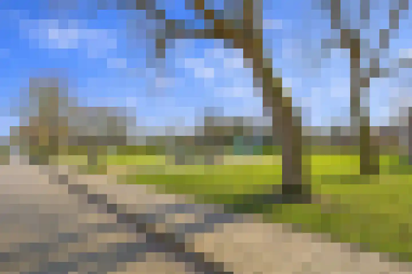 Jacob van Ruysdaelstraat 12 Boxmeer thumbnail 45