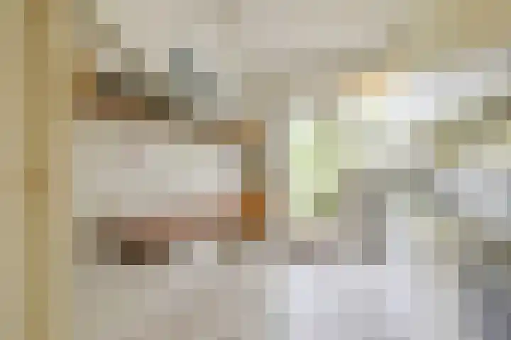 Jacob van Ruysdaelstraat 12 Zelhem thumbnail 16