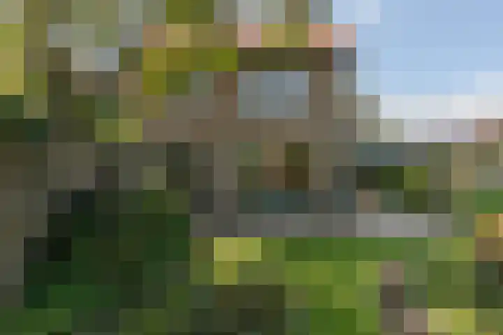 Jacob van Ruysdaelstraat 12 Zelhem thumbnail 17