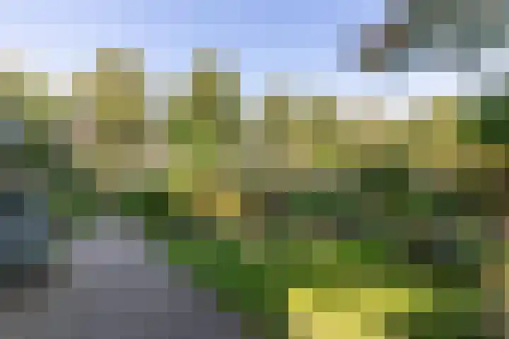 Jacob van Ruysdaelstraat 12 Zelhem thumbnail 18