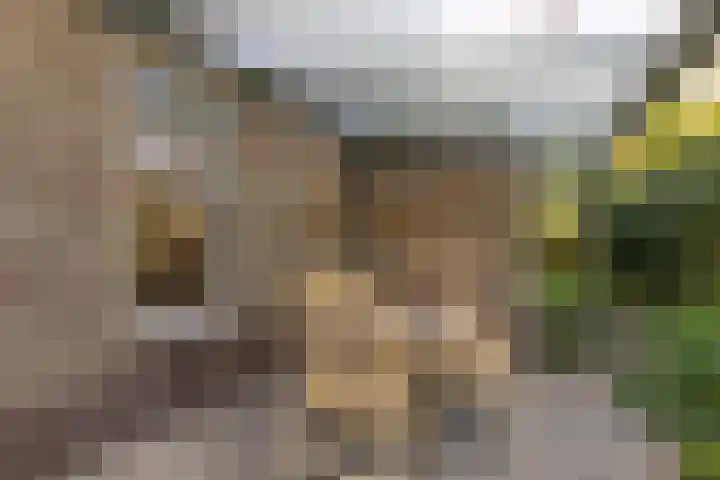 Jacob van Ruysdaelstraat 12 Zelhem thumbnail 19