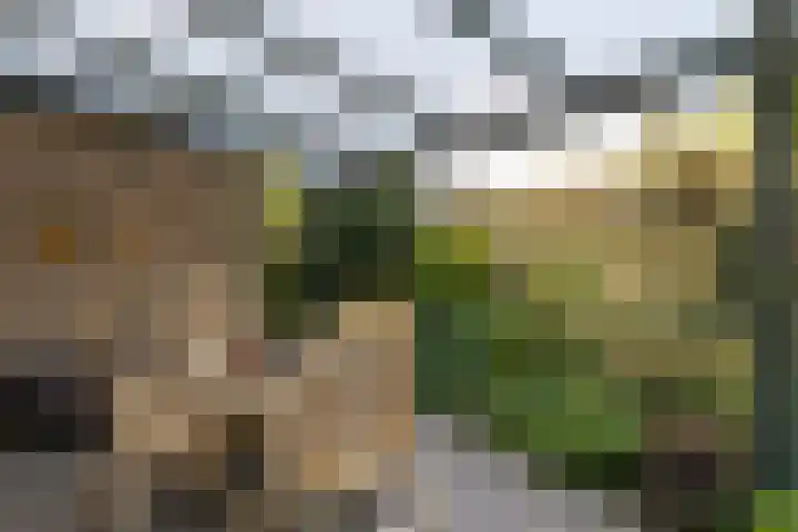 Jacob van Ruysdaelstraat 12 Zelhem thumbnail 20