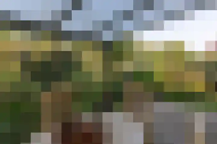 Jacob van Ruysdaelstraat 12 Zelhem thumbnail 21