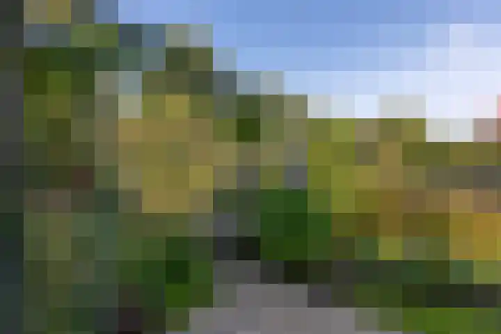 Jacob van Ruysdaelstraat 12 Zelhem thumbnail 22