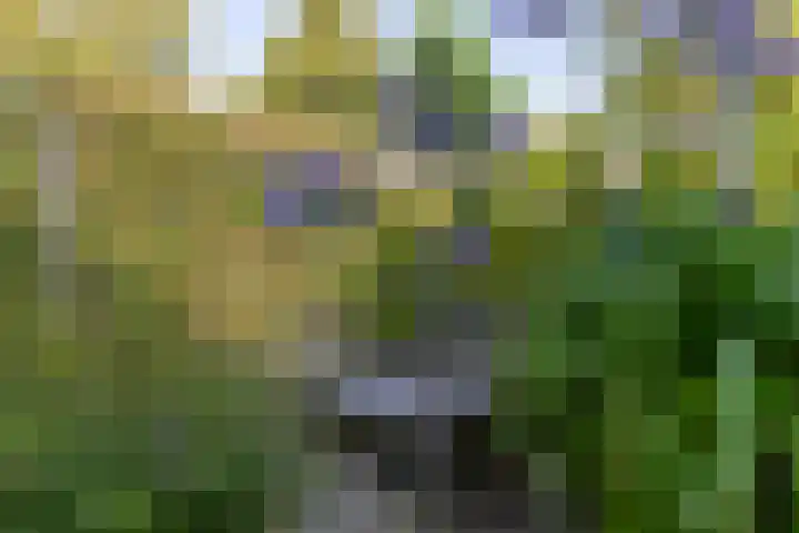Jacob van Ruysdaelstraat 12 Zelhem thumbnail 23