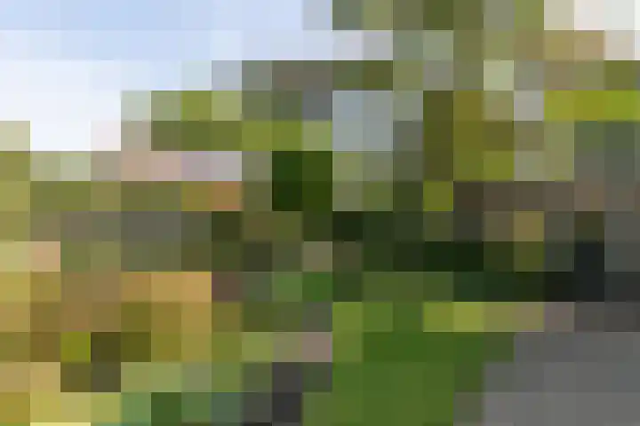 Jacob van Ruysdaelstraat 12 Zelhem thumbnail 24
