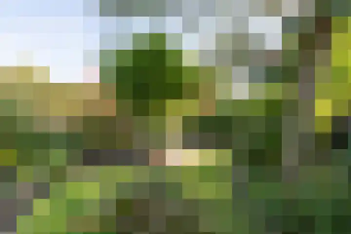 Jacob van Ruysdaelstraat 12 Zelhem thumbnail 26