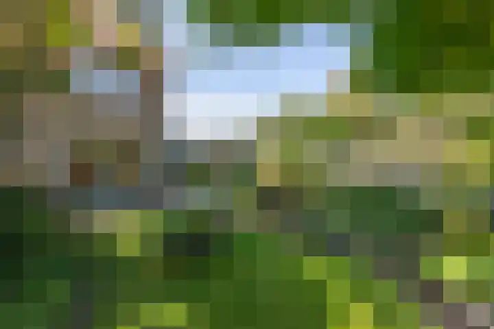 Jacob van Ruysdaelstraat 12 Zelhem thumbnail 29