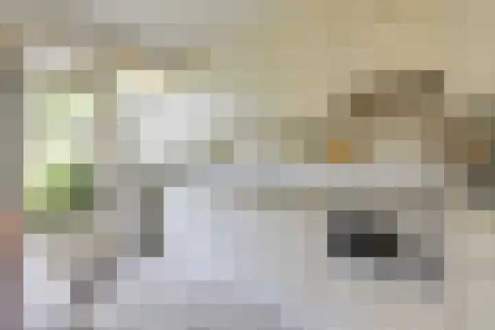 Jacob van Ruysdaelstraat 12 Zelhem thumbnail 30