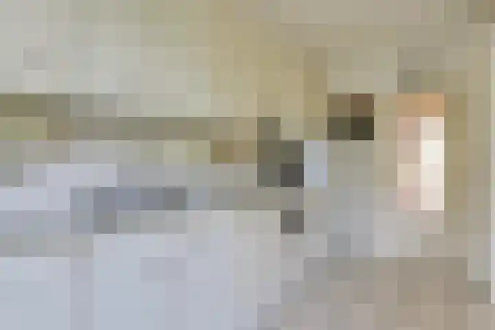 Jacob van Ruysdaelstraat 12 Zelhem thumbnail 31