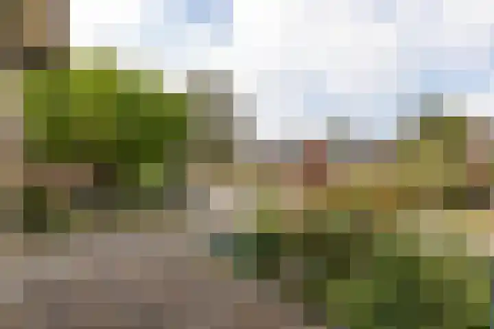 Jacob van Ruysdaelstraat 12 Zelhem thumbnail 39