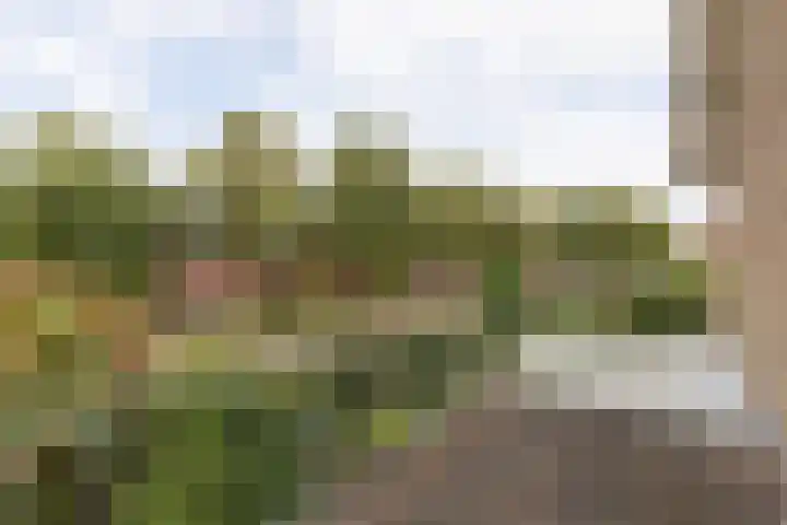 Jacob van Ruysdaelstraat 12 Zelhem thumbnail 40