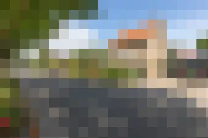 Jacob van Ruysdaelstraat 12 Zelhem thumbnail 57