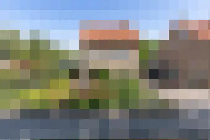 Jacob van Ruysdaelstraat 12 Zelhem thumbnail 58