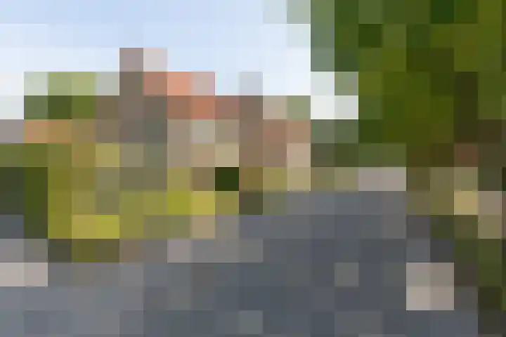 Jacob van Ruysdaelstraat 12 Zelhem thumbnail 59