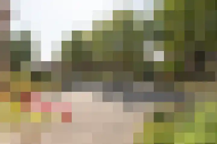 Jacob van Ruysdaelstraat 12 Zelhem thumbnail 61