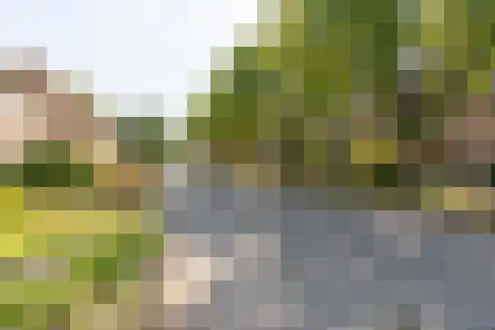 Jacob van Ruysdaelstraat 12 Zelhem thumbnail 62