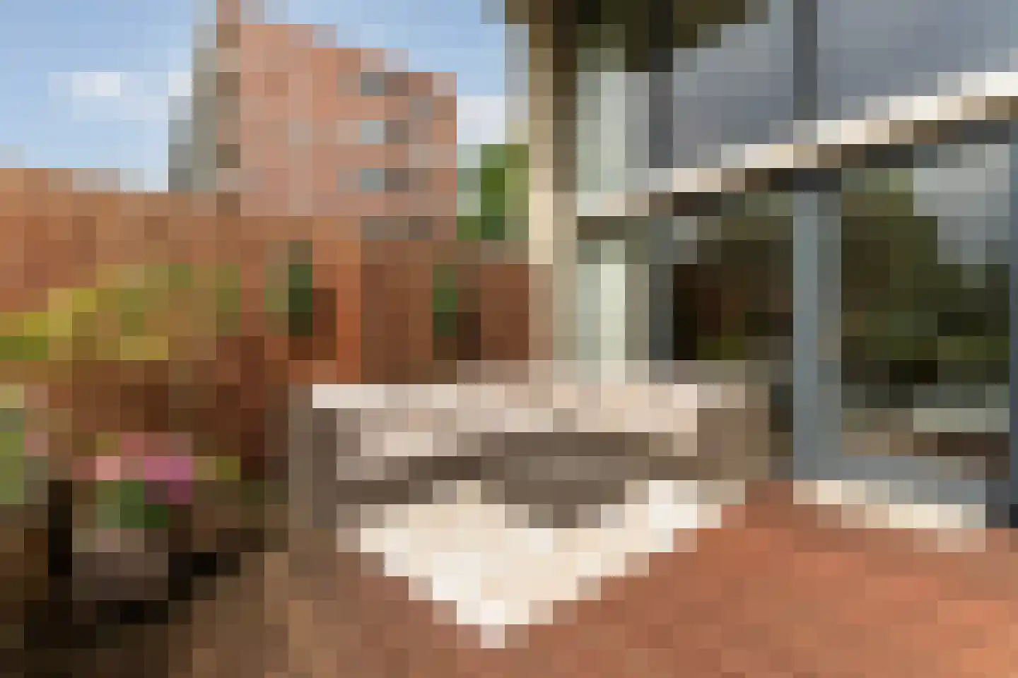 Jacob van Ruysdaelstraat 120 Almere thumbnail 23