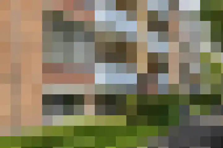 Jacob van Ruysdaelstraat 13 Groningen thumbnail 10