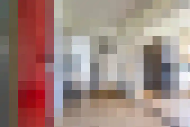 Jacob van Ruysdaelstraat 13 Groningen thumbnail 11