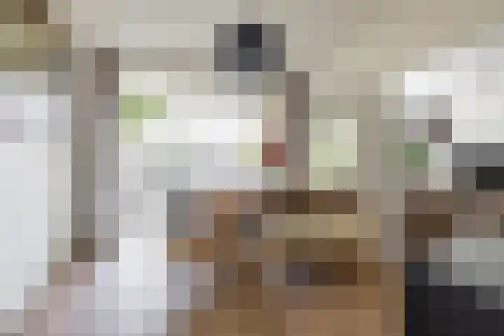 Jacob van Ruysdaelstraat 13 Groningen thumbnail 27