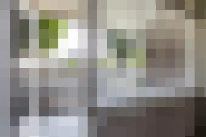 Jacob van Ruysdaelstraat 13 Groningen thumbnail 28