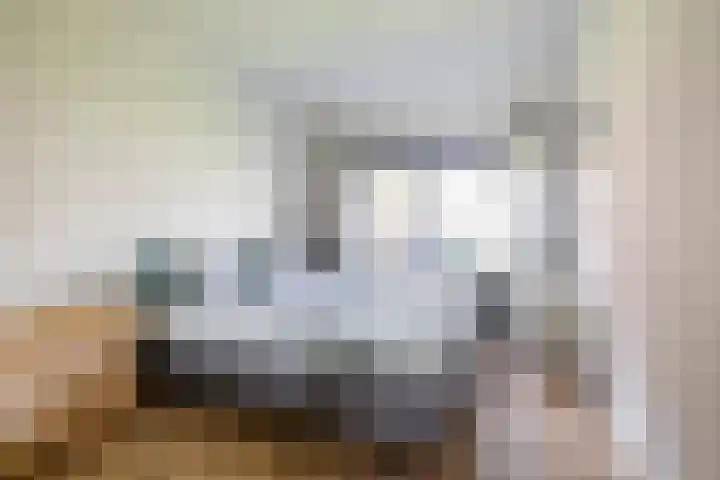 Jacob van Ruysdaelstraat 13 Groningen thumbnail 35