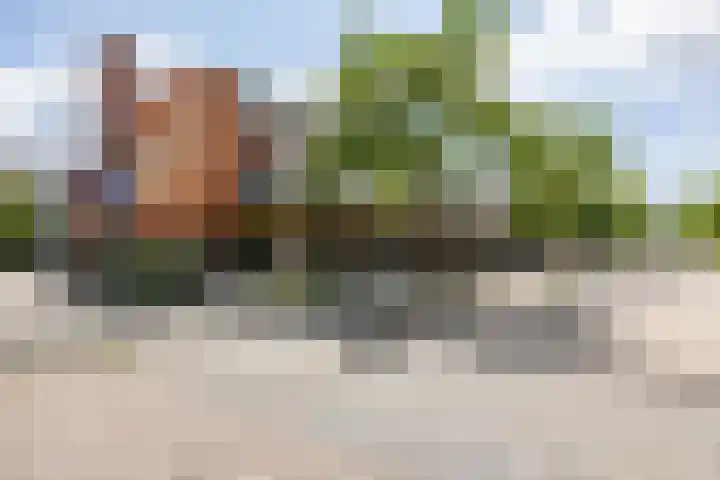 Jacob van Ruysdaelstraat 13 Groningen thumbnail 4