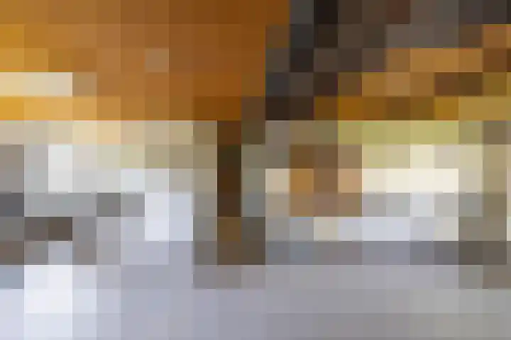 Jacob van Ruysdaelstraat 13 Groningen thumbnail 43