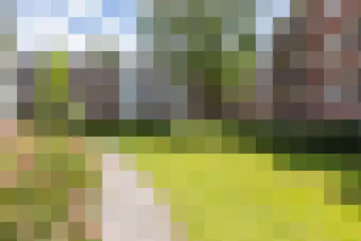 Jacob van Ruysdaelstraat 13 Groningen thumbnail 7