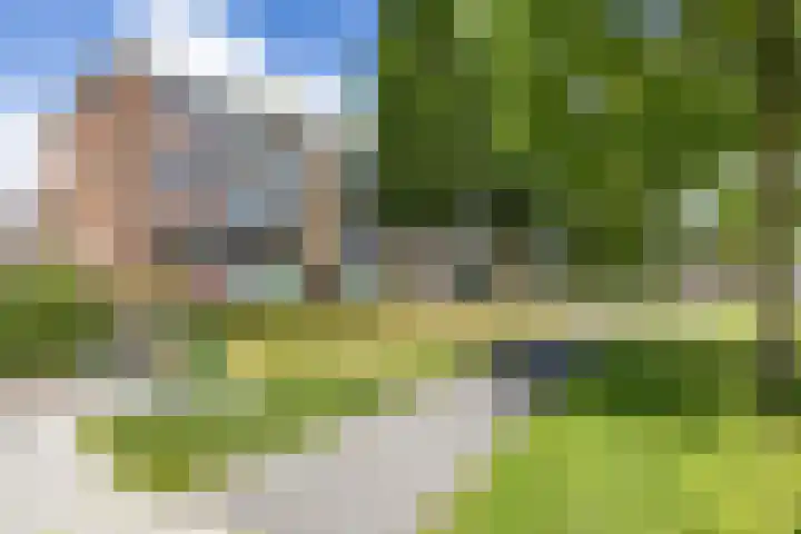 Jacob van Ruysdaelstraat 13 Groningen thumbnail 9