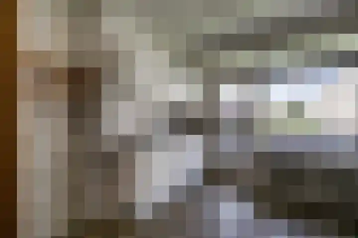 Jacob van Ruysdaelstraat 15 Groningen thumbnail 17