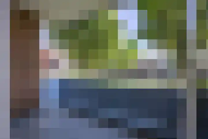 Jacob van Ruysdaelstraat 15 Groningen thumbnail 26