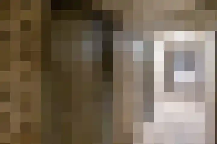 Jacob van Ruysdaelstraat 15 Groningen thumbnail 33