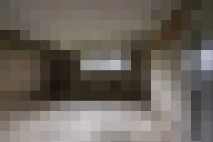 Jacob van Ruysdaelstraat 15 Groningen thumbnail 34