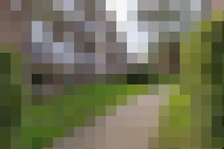 Jacob van Ruysdaelstraat 15 Groningen thumbnail 36