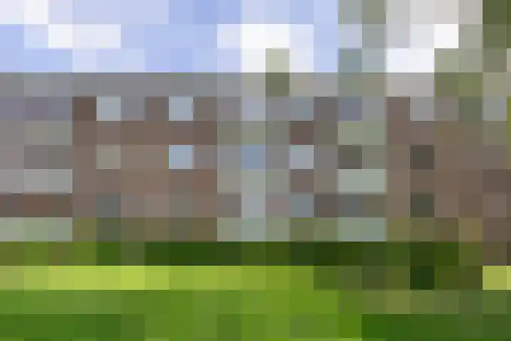 Jacob van Ruysdaelstraat 15 Groningen thumbnail 37