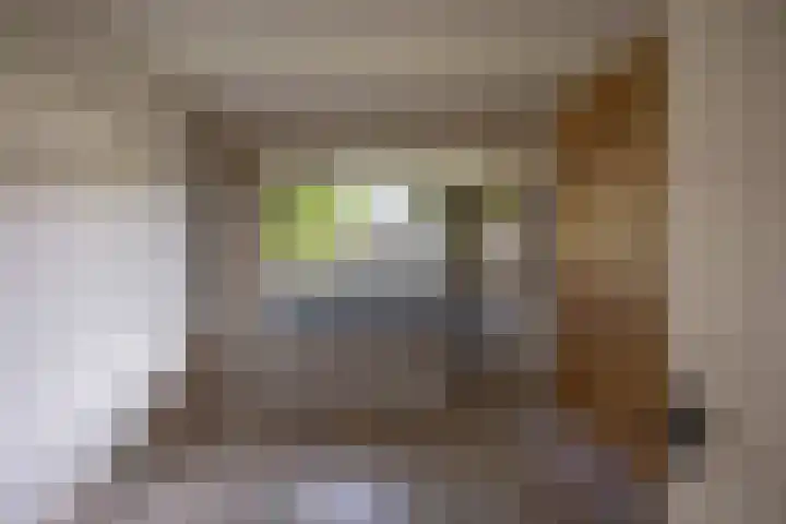 Jacob van Ruysdaelstraat 15 Groningen thumbnail 5