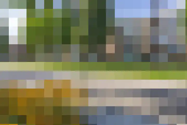 Jacob van Ruysdaelstraat 15 Groningen thumbnail 6