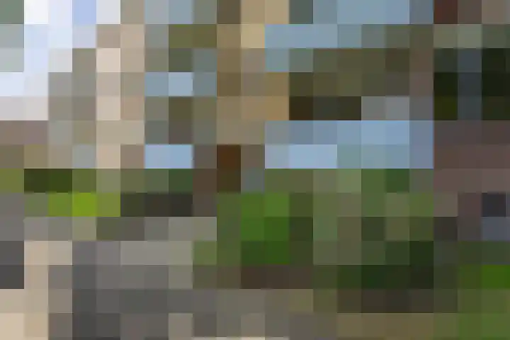 Jacob van Ruysdaelstraat 15 Groningen thumbnail 8