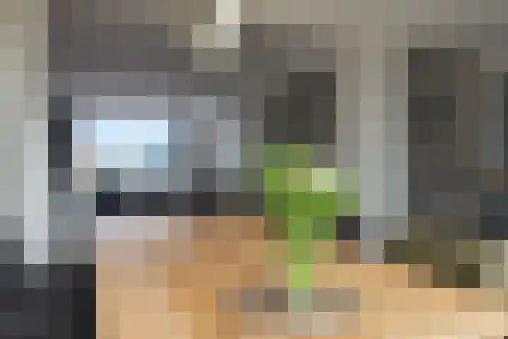 Jacob van Ruysdaelstraat 16 Schoondijke thumbnail 10