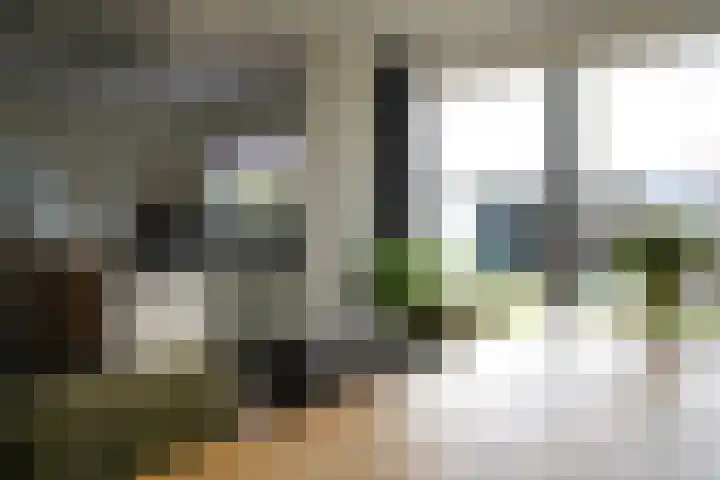 Jacob van Ruysdaelstraat 16 Schoondijke thumbnail 11